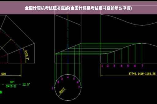 全国计算机考试证书直邮(全国计算机考试证书直邮怎么申请) 全国计算机考试证书直邮(全国计算机考试证书直邮怎么申请)
