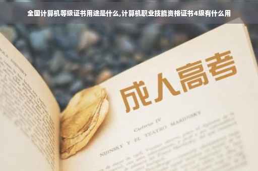 全国计算机等级证书用途是什么,计算机职业技能资格证书4级有什么用