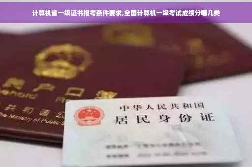 计算机省一级证书报考条件要求,全国计算机一级考试成绩分哪几类