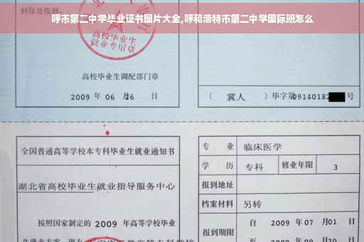呼市第二中学毕业证书图片大全,呼和浩特市第二中学国际班怎么