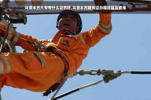乌鲁木齐大专考什么证书好,乌鲁木齐鞭炮证办理流程及费用