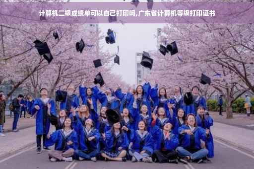 计算机二级成绩单可以自己打印吗,广东省计算机等级打印证书