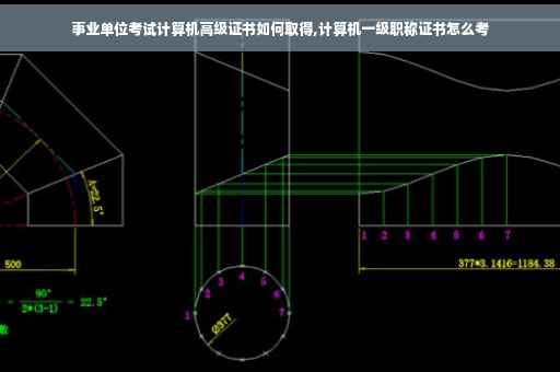 事业单位考试计算机高级证书如何取得,计算机一级职称证书怎么考