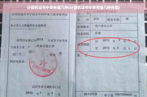 计算机证书中级有哪几种(计算机证书中级有哪几种类型)