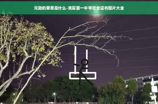 元勋的意思是什么-青田第一中学毕业证书图片大全