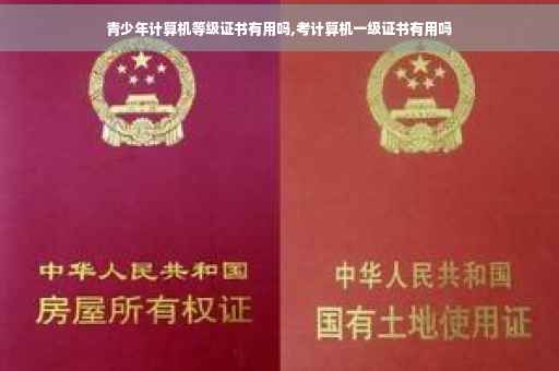 青少年计算机等级证书有用吗,考计算机一级证书有用吗