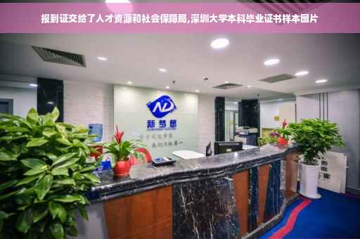 报到证交给了人才资源和社会保障局,深圳大学本科毕业证书样本图片