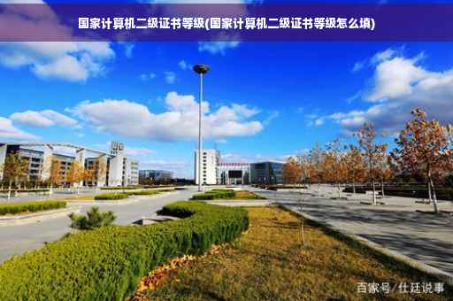 国家计算机二级证书等级(国家计算机二级证书等级怎么填)