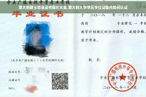 意大利硕士毕业证书图片大全,意大利大学学历学位证国内如何认证