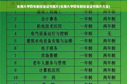 东南大学四年制毕业证书图片(东南大学四年制毕业证书图片大全)