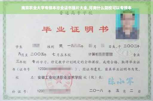 南京农业大学专接本毕业证书图片大全,河南什么院校可以专接本