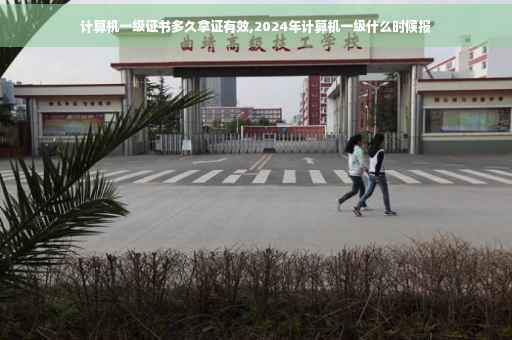 计算机一级证书多久拿证有效,2024年计算机一级什么时候报