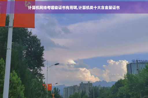 计算机网络考哪些证书有用呢,计算机类十大含金量证书