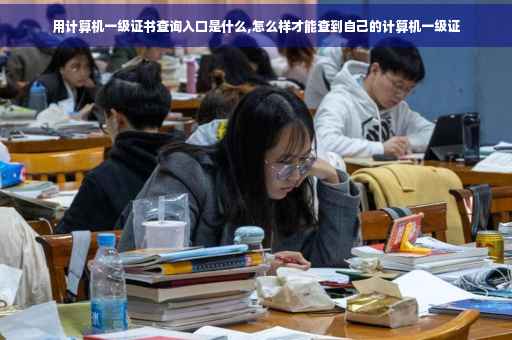 用计算机一级证书查询入口是什么,怎么样才能查到自己的计算机一级证