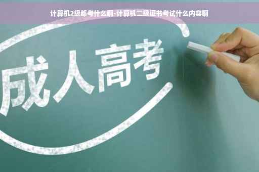 计算机2级都考什么啊-计算机二级证书考试什么内容啊