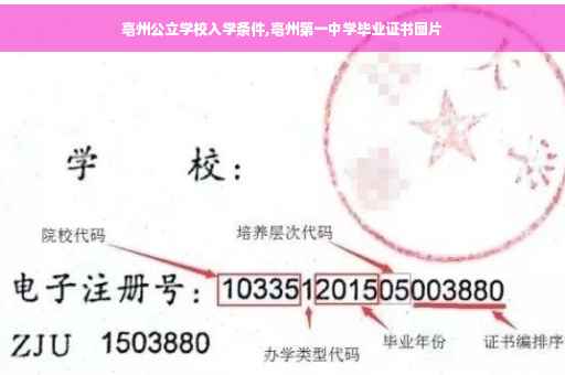 亳州公立学校入学条件,亳州第一中学毕业证书图片
