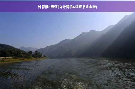 计算机6级证书(计算机6级证书含金量)