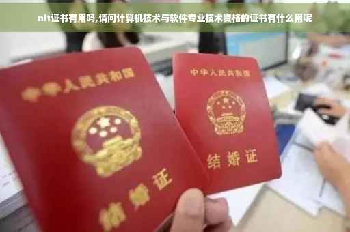nit证书有用吗,请问计算机技术与软件专业技术资格的证书有什么用呢
