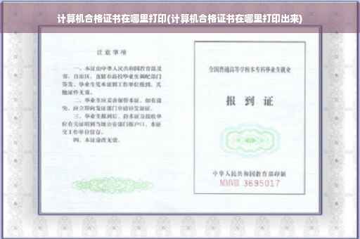 计算机合格证书在哪里打印(计算机合格证书在哪里打印出来)