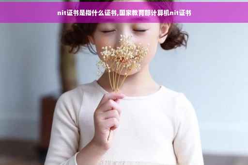 nit证书是指什么证书,国家教育部计算机nit证书