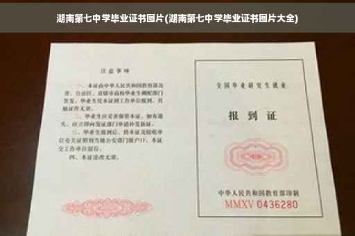 湖南第七中学毕业证书图片(湖南第七中学毕业证书图片大全)