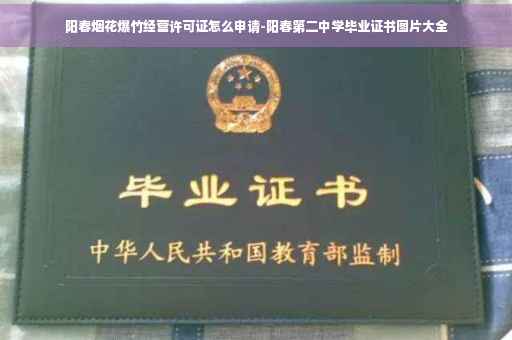 阳春烟花爆竹经营许可证怎么申请-阳春第二中学毕业证书图片大全