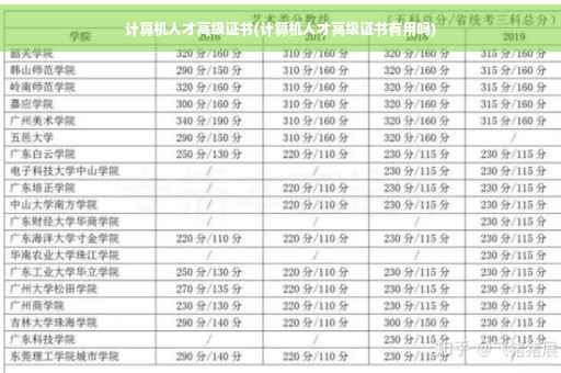 计算机人才高级证书(计算机人才高级证书有用吗)