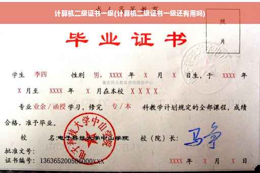 计算机二级证书一级(计算机二级证书一级还有用吗)