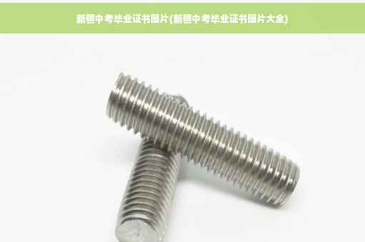 新疆中考毕业证书图片(新疆中考毕业证书图片大全)