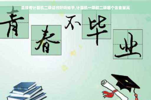 直接考计算机二级证书好吗知乎,计算机一级和二级哪个含金量高