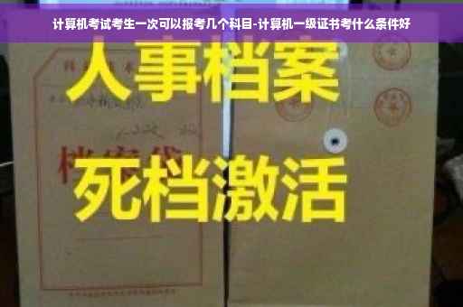 计算机考试考生一次可以报考几个科目-计算机一级证书考什么条件好