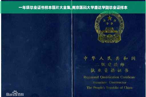 一年级毕业证书样本图片大全集,南京医科大学康达学院毕业证样本