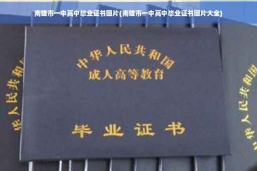 南雄市一中高中毕业证书图片(南雄市一中高中毕业证书图片大全)