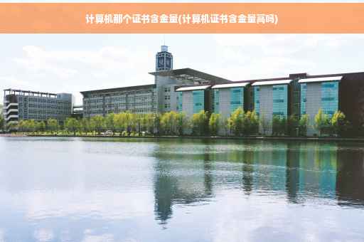 计算机那个证书含金量(计算机证书含金量高吗)