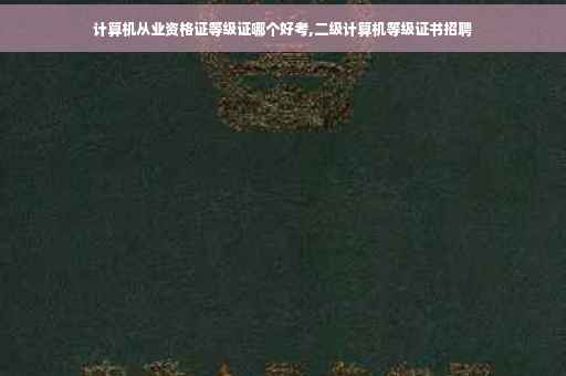 计算机从业资格证等级证哪个好考,二级计算机等级证书招聘