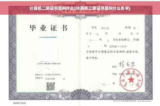 计算机二级证书是叫什么(计算机二级证书是叫什么名字)