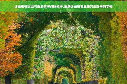 计算机等级证书重庆有考点吗知乎,重庆计算机专业研究生好考的学校