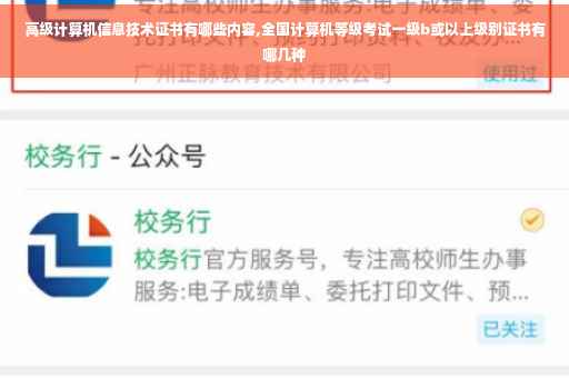 高级计算机信息技术证书有哪些内容,全国计算机等级考试一级b或以上级别证书有哪几种