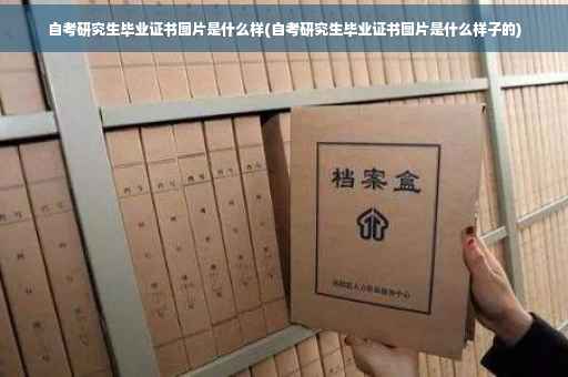 自考研究生毕业证书图片是什么样(自考研究生毕业证书图片是什么样子的)