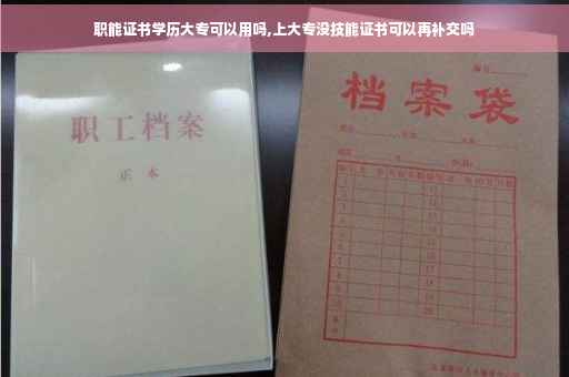 职能证书学历大专可以用吗,上大专没技能证书可以再补交吗