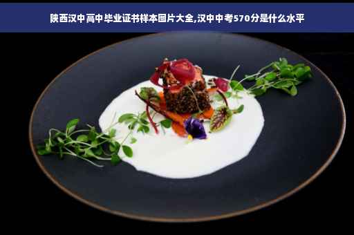 陕西汉中高中毕业证书样本图片大全,汉中中考570分是什么水平