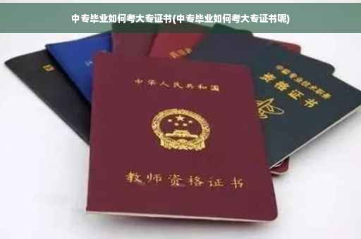 中专毕业如何考大专证书(中专毕业如何考大专证书呢)