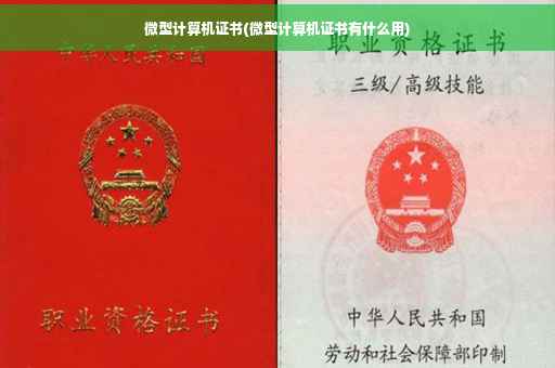 微型计算机证书(微型计算机证书有什么用)