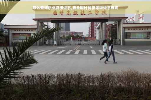怎么查询职业资格证书,查全国计算机考级证书查询