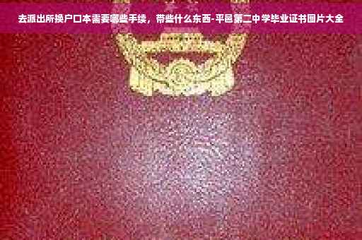 去派出所换户口本需要哪些手续，带些什么东西-平邑第二中学毕业证书图片大全