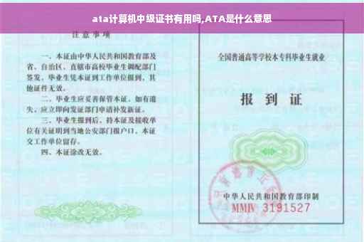 ata计算机中级证书有用吗,ATA是什么意思
