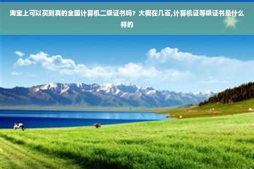 淘宝上可以买到真的全国计算机二级证书吗？大概在几百,计算机证等级证书是什么样的