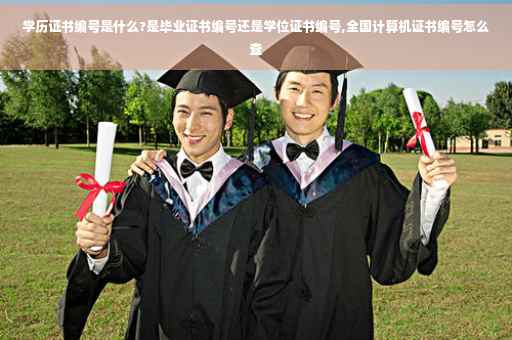 学历证书编号是什么?是毕业证书编号还是学位证书编号,全国计算机证书编号怎么查