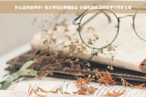 什么证书加学分？在大学可以考哪些证-计算机四级证书加学分吗怎么加