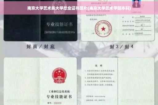 南京大学艺术类大学毕业证书图片(南京大学艺术学院本科)